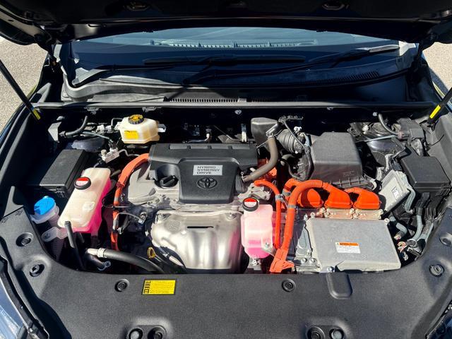 1157782A30260413W00113.jpg
