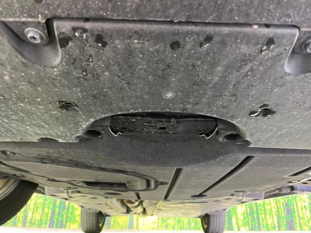 24706025_carP_l_18.jpg