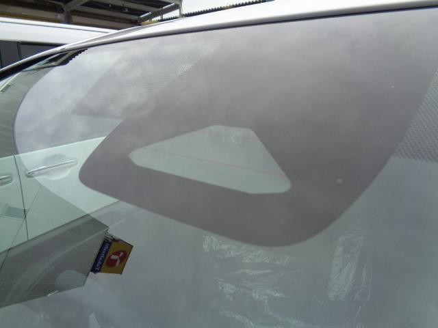 26252629_carP_l_4.jpg