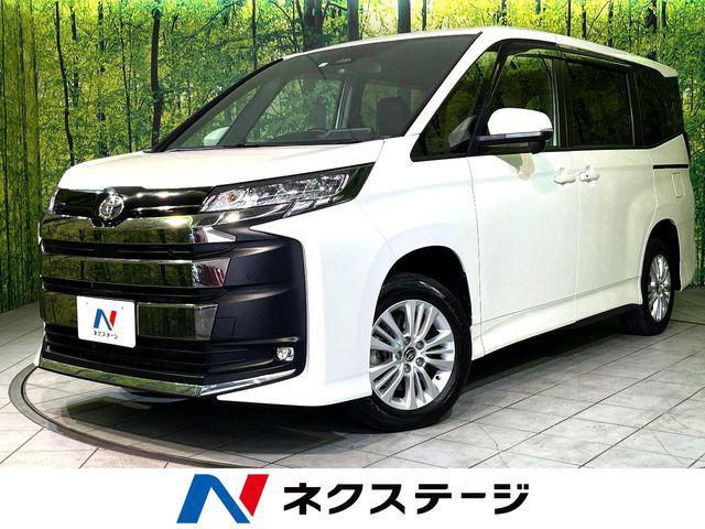 1010235A30260731W00301.jpg