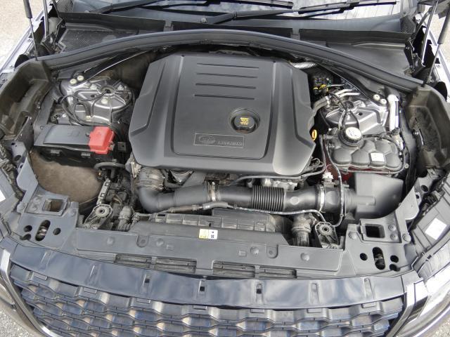 24644488_carP_l_20.jpg