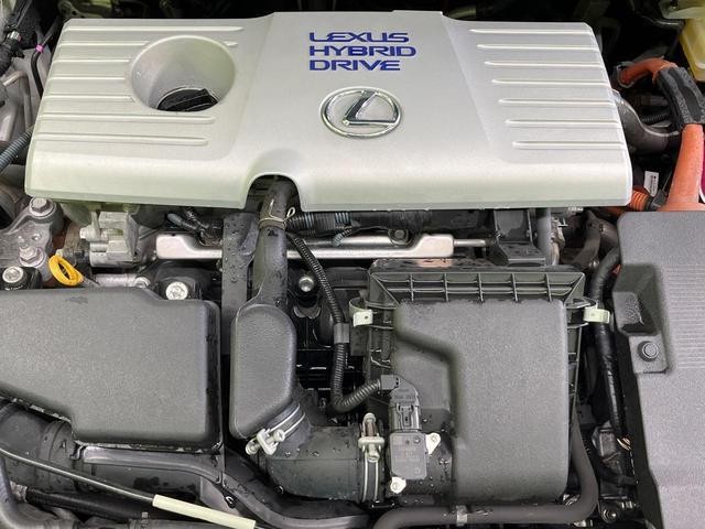 26838265_carP_l_16.jpg