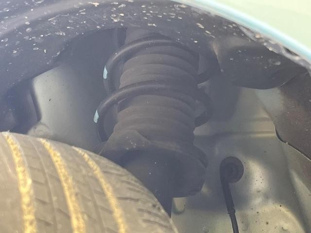 26773396_carP_l_20.jpg