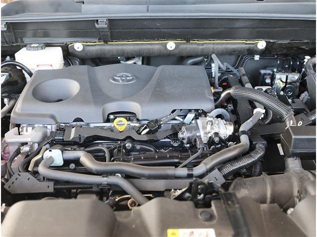 24959007_carP_l_20.jpg