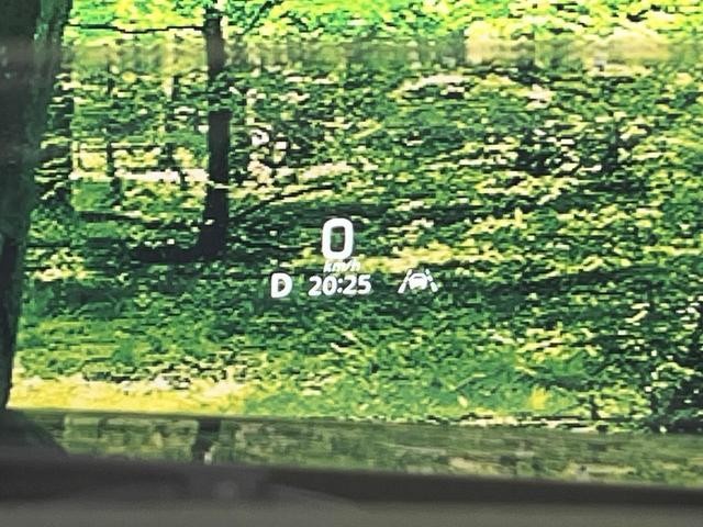 26838266_carP_l_13.jpg
