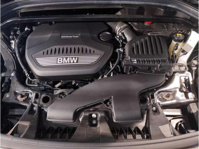 25788831_carP_l_17.jpg