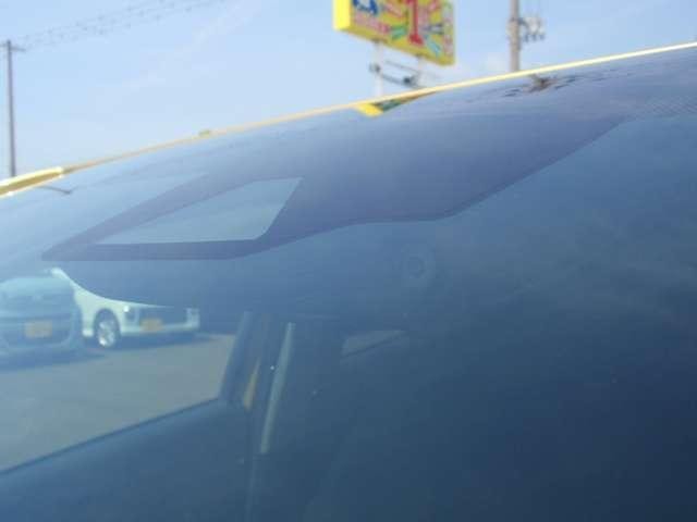 25989736_carP_l_2.jpg