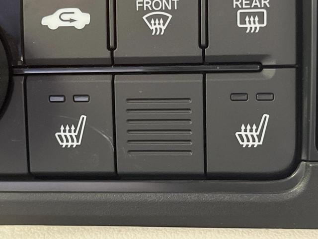 24520914_carP_l_10.jpg