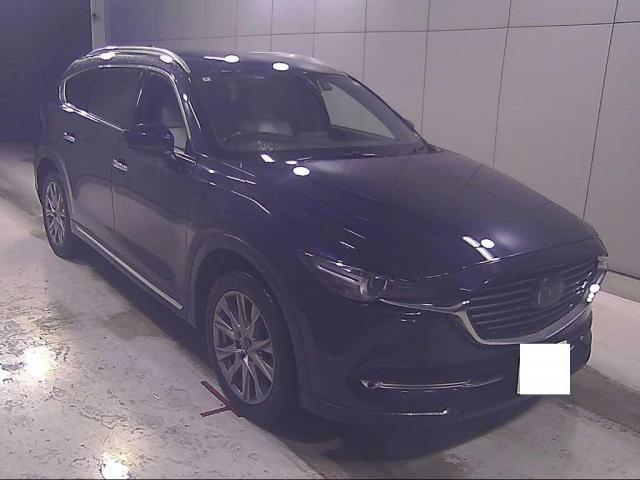 25247291_carP_l_1.jpg