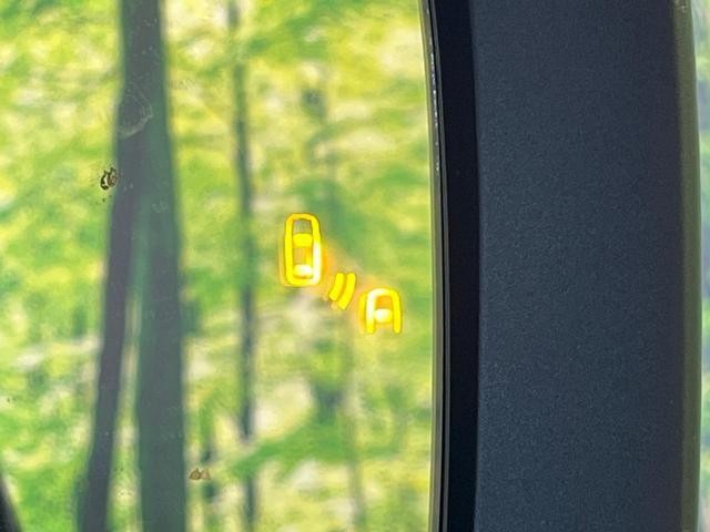 25673735_carP_l_13.jpg