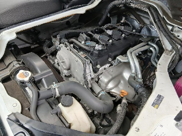 77c3d604ce026ab9aa35e90d8bf6addd.jpg