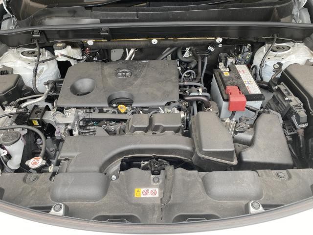 26403715_carP_l_17.jpg