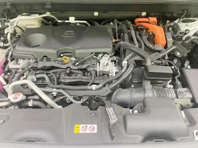 25982975_carP_l_16.jpg