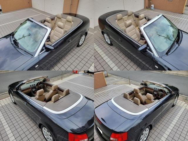7220577_carP_l_6.jpg