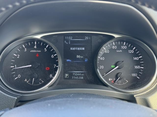 27032598_carP_l_11.jpg