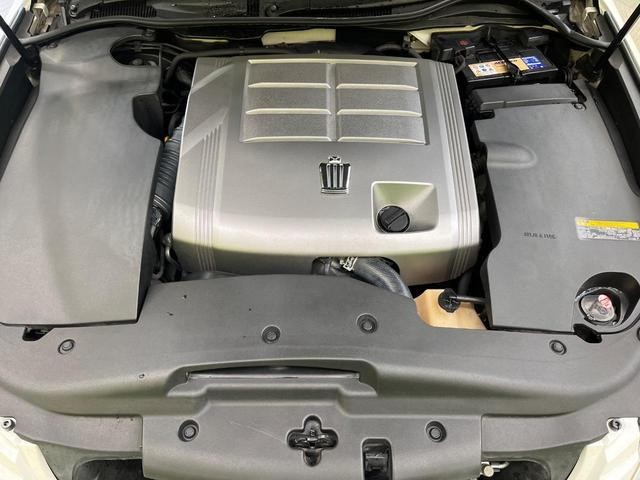 26901786_carP_l_16.jpg