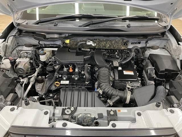 25997385_carP_l_8.jpg