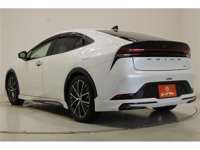 26745890_carP_l_5.jpg