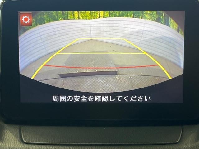 26491244_carP_l_13.jpg