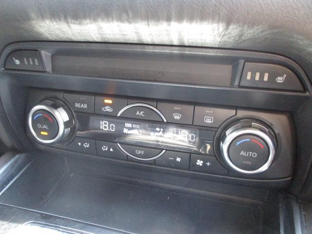 0404113A30260619W00313.jpg