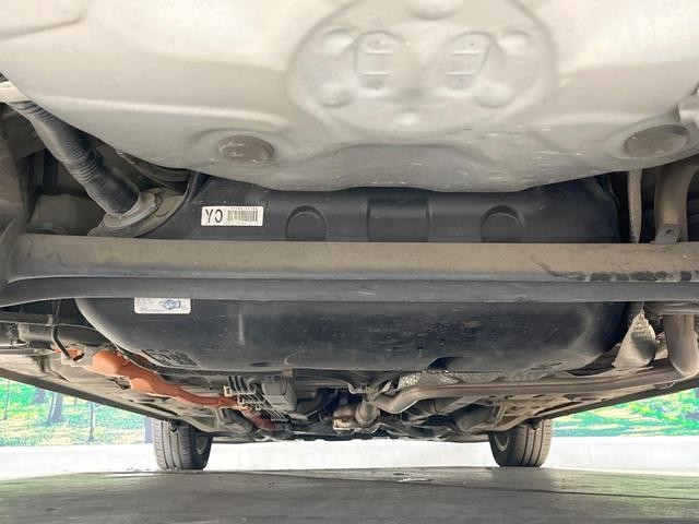 25673645_carP_l_18.jpg