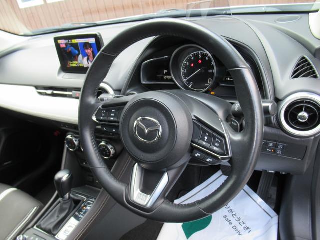 0303462A30260610W00109.jpg