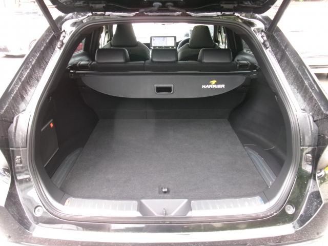 26427112_carP_l_18.jpg