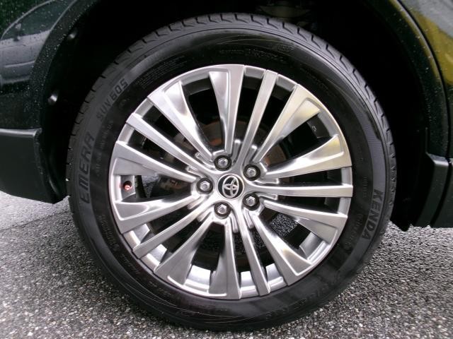 26427112_carP_l_19.jpg