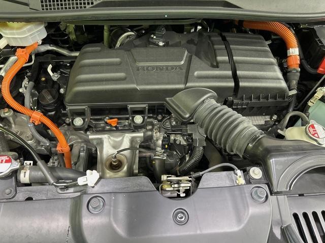 25076267_carP_l_18.jpg