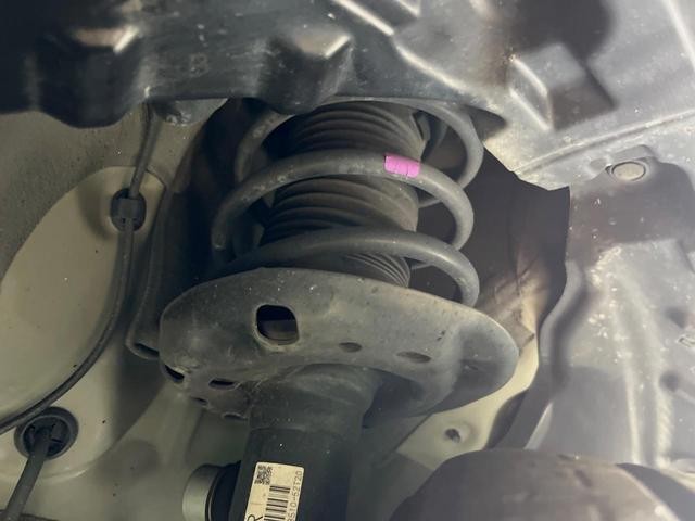 25507090_carP_l_20.jpg