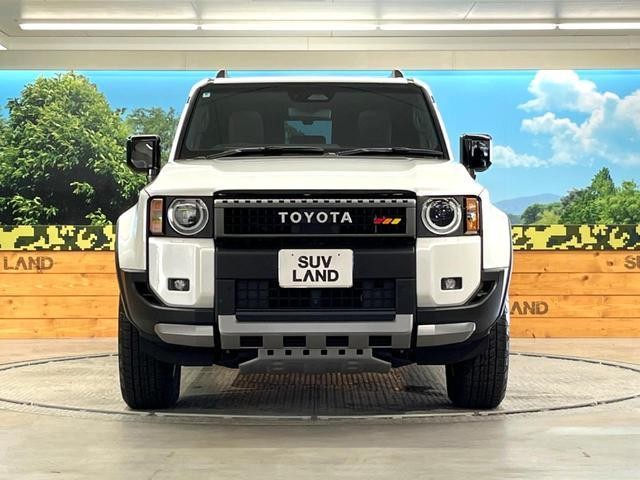 26815993_carP_l_9.jpg