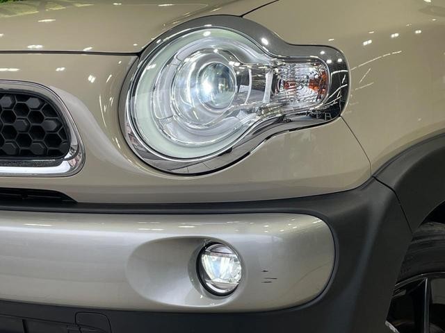 26380475_carP_l_6.jpg