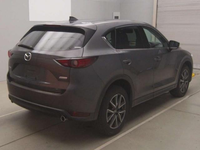 25988468_carP_l_3.jpg