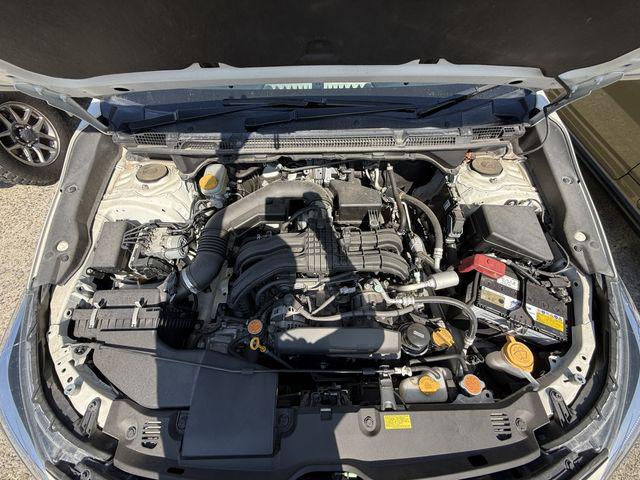 ccb666bfd41adf96e438ac8a5e0082de.jpg