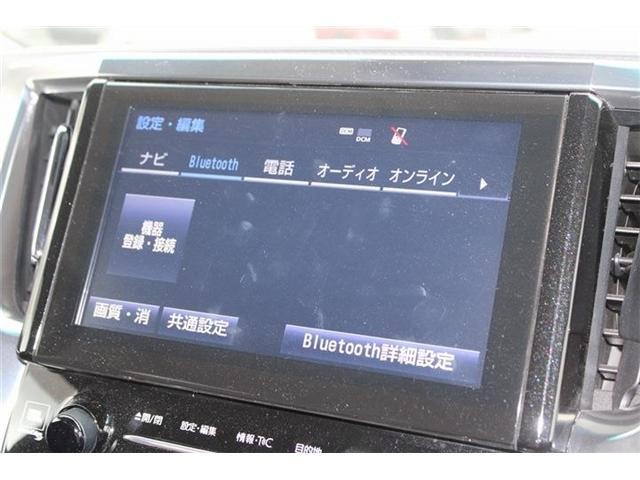 26745900_carP_l_15.jpg