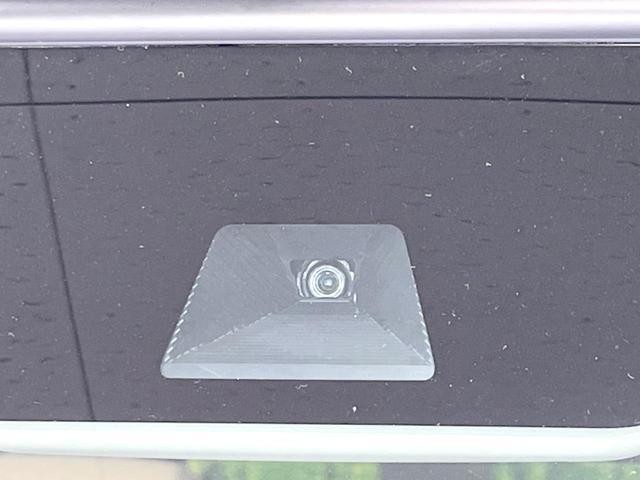 26002212_carP_l_10.jpg