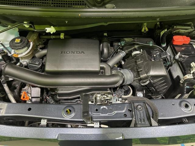 25096940_carP_l_16.jpg