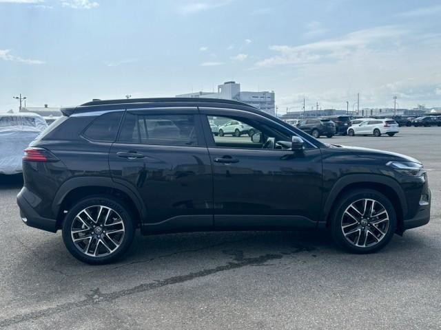 25247542_carP_l_17.jpg