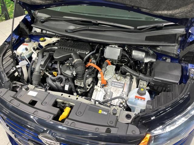 25507145_carP_l_18.jpg