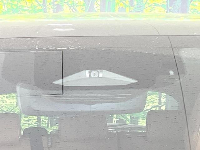 25983177_carP_l_13.jpg
