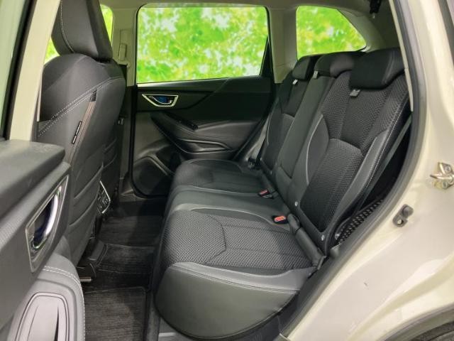 25797923_carP_l_14.jpg