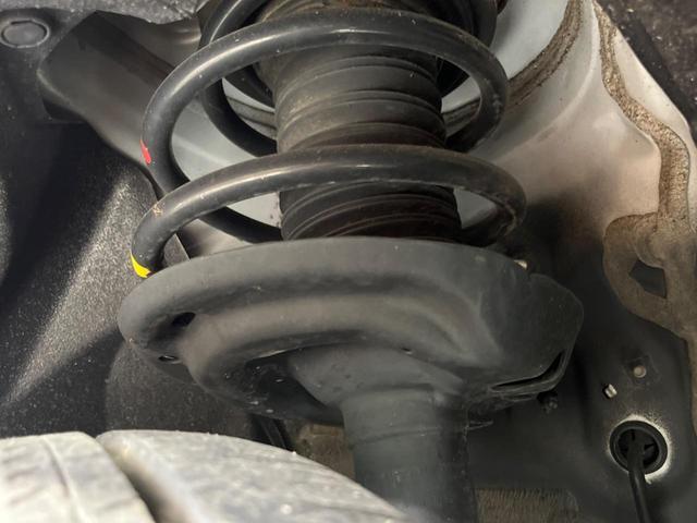 24008735_carP_l_20.jpg