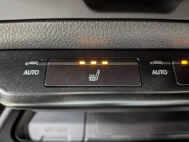 25977532_carP_l_17.jpg