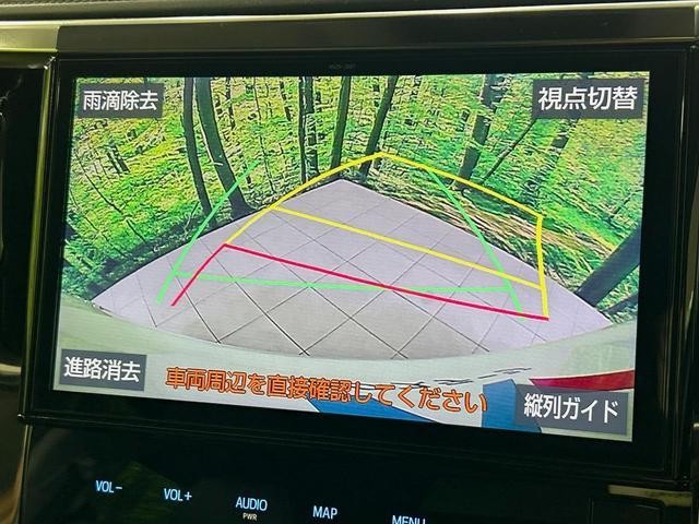 25829823_carP_l_13.jpg