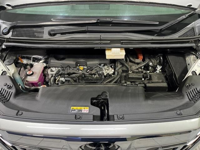 25096779_carP_l_18.jpg