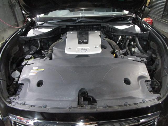 24720967_carP_l_20.jpg