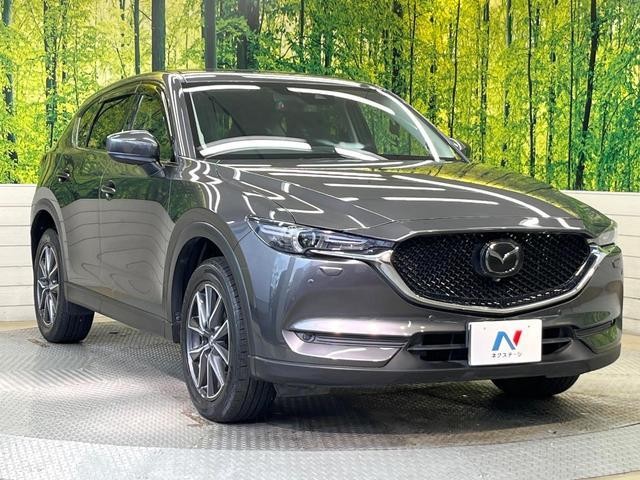 25811367_carP_l_11.jpg