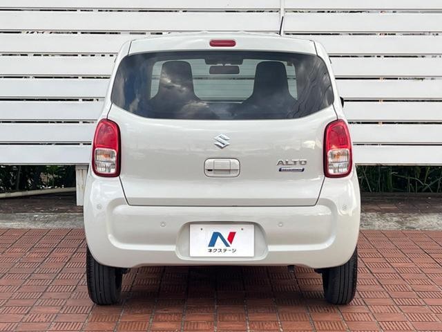 25549900_carP_l_9.jpg