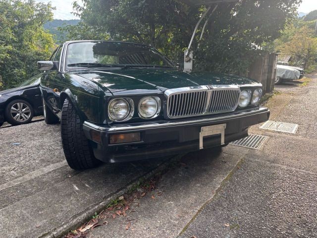 cb3bf9e24820195e61d4083136fa0561.jpg