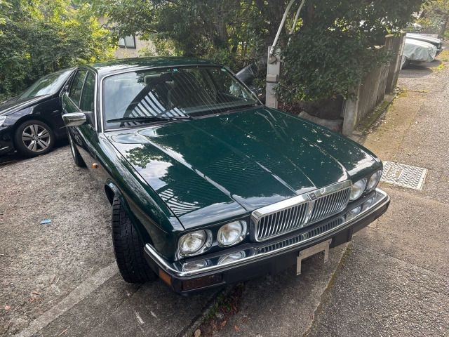 d17f198876e2fac4700ade26b95f65c9.jpg